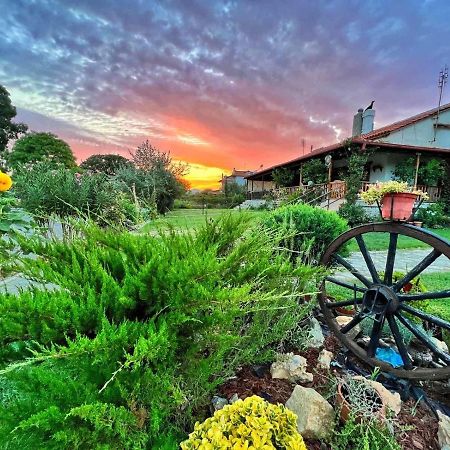 Ivonnis Garden Mesimvria (Evros) Exterior foto