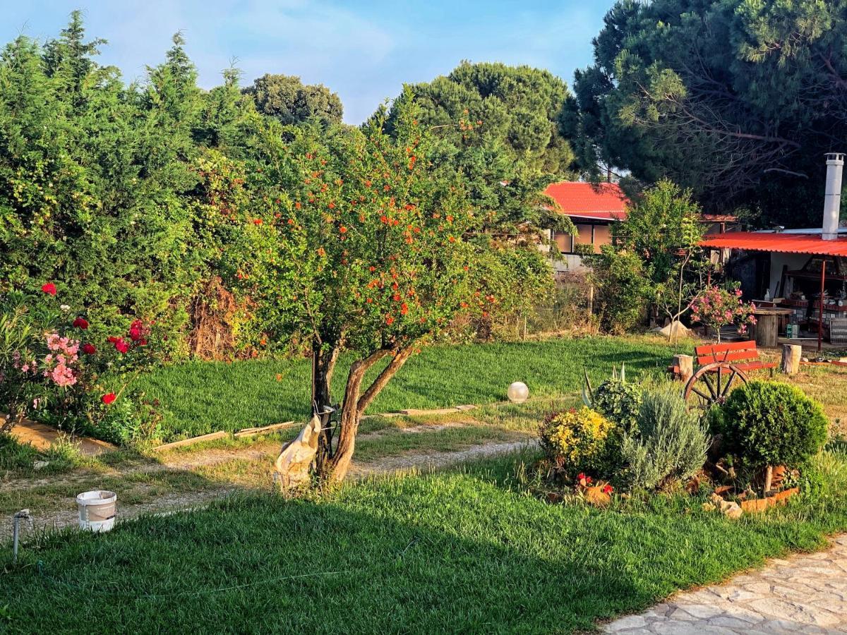 Ivonnis Garden Mesimvria (Evros) Exterior foto