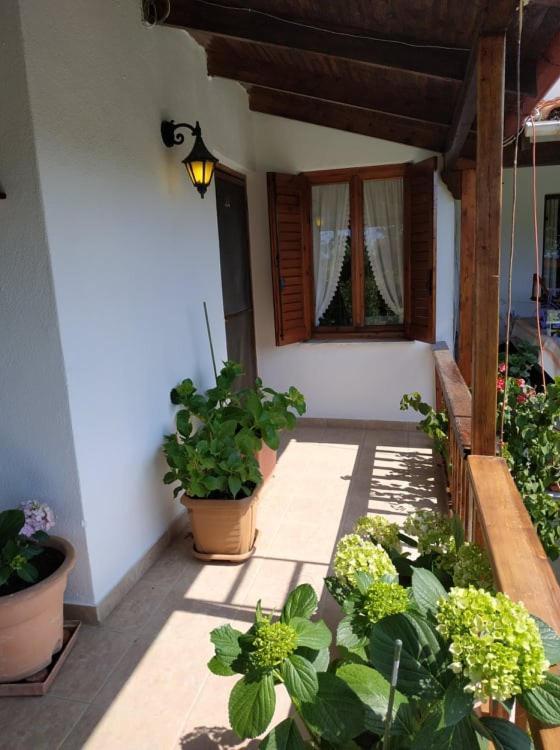 Ivonnis Garden Mesimvria (Evros) Exterior foto