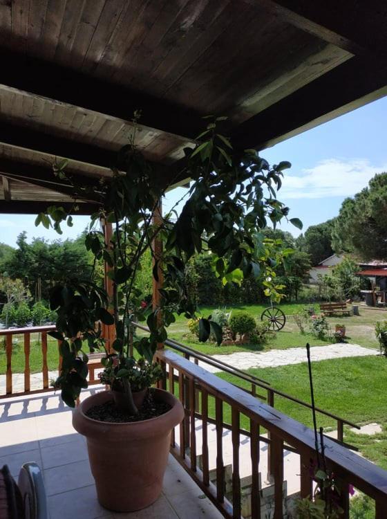 Ivonnis Garden Mesimvria (Evros) Exterior foto