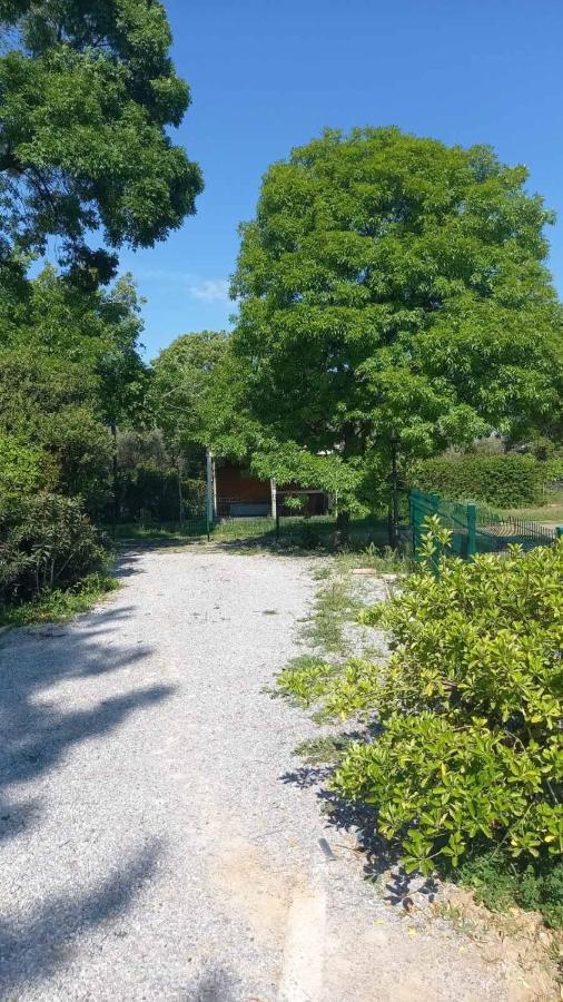 Ivonnis Garden Mesimvria (Evros) Exterior foto