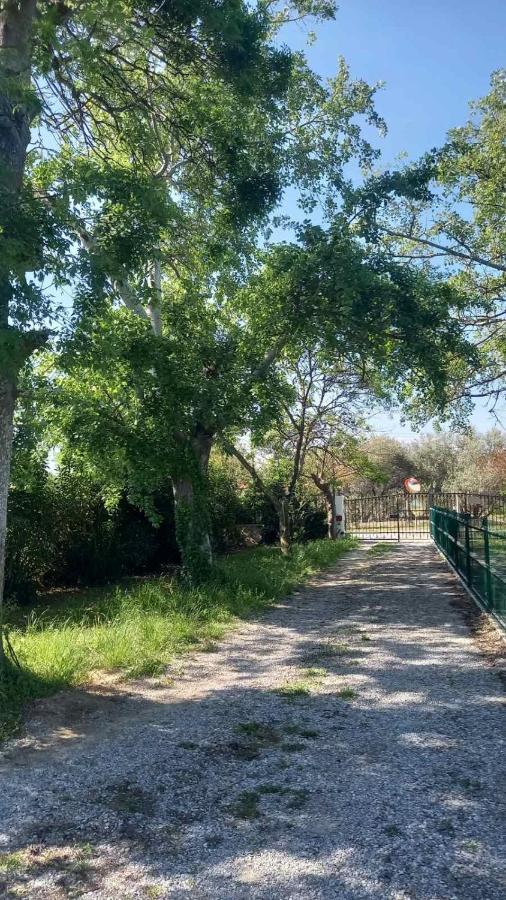 Ivonnis Garden Mesimvria (Evros) Exterior foto