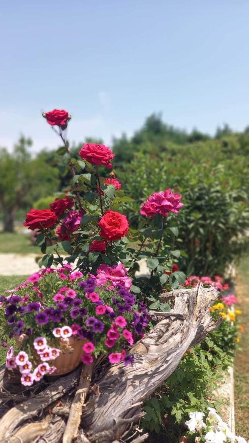 Ivonnis Garden Mesimvria (Evros) Exterior foto