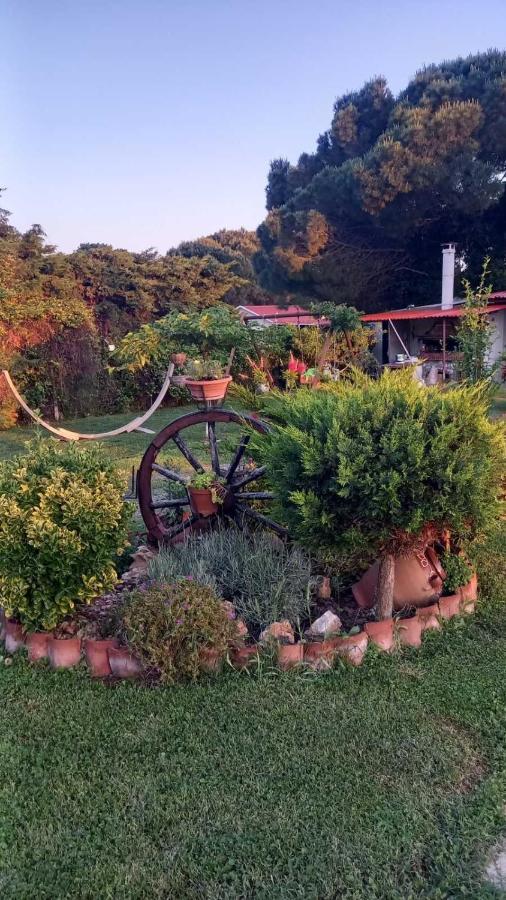 Ivonnis Garden Mesimvria (Evros) Exterior foto