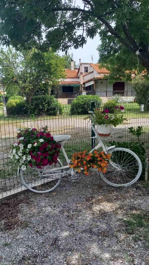 Ivonnis Garden Mesimvria (Evros) Exterior foto